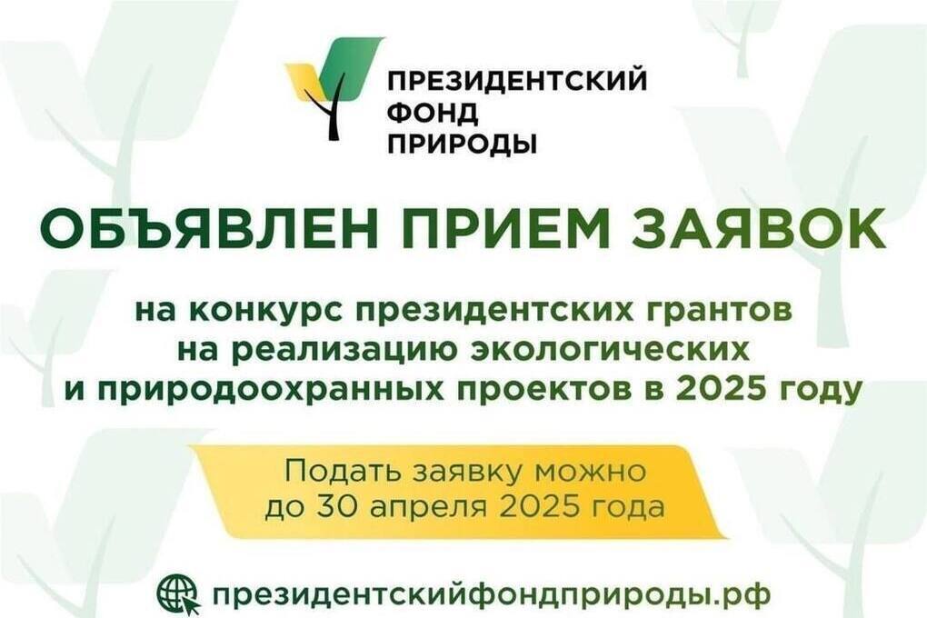 Приглашаем всех заинтересованных принять участие в конкурсе на предоставление грантов Президента Российской Федерации на реализацию экологических и природоохранных проектов в 2025 году!.