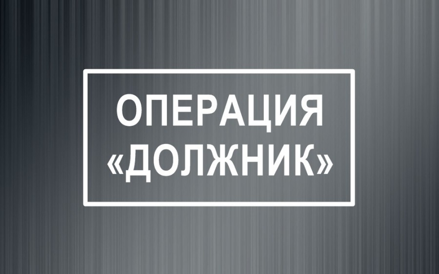 В Мангушском муниципальном округе полицейские проводят профилактическую отработку «Должник».