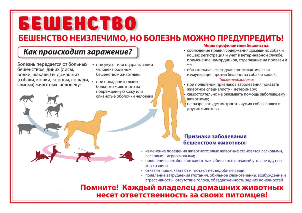 ‼️Осторожно бешенство!.