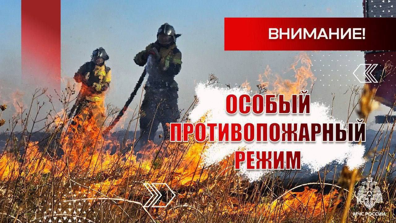 С 1 июня в Республике действует особый противопожарный режим. .