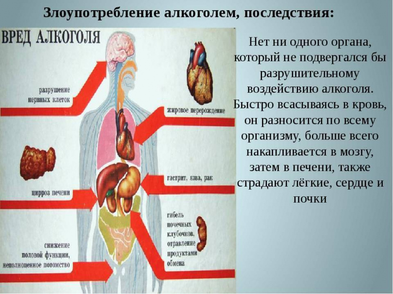 О вреде алкоголя.