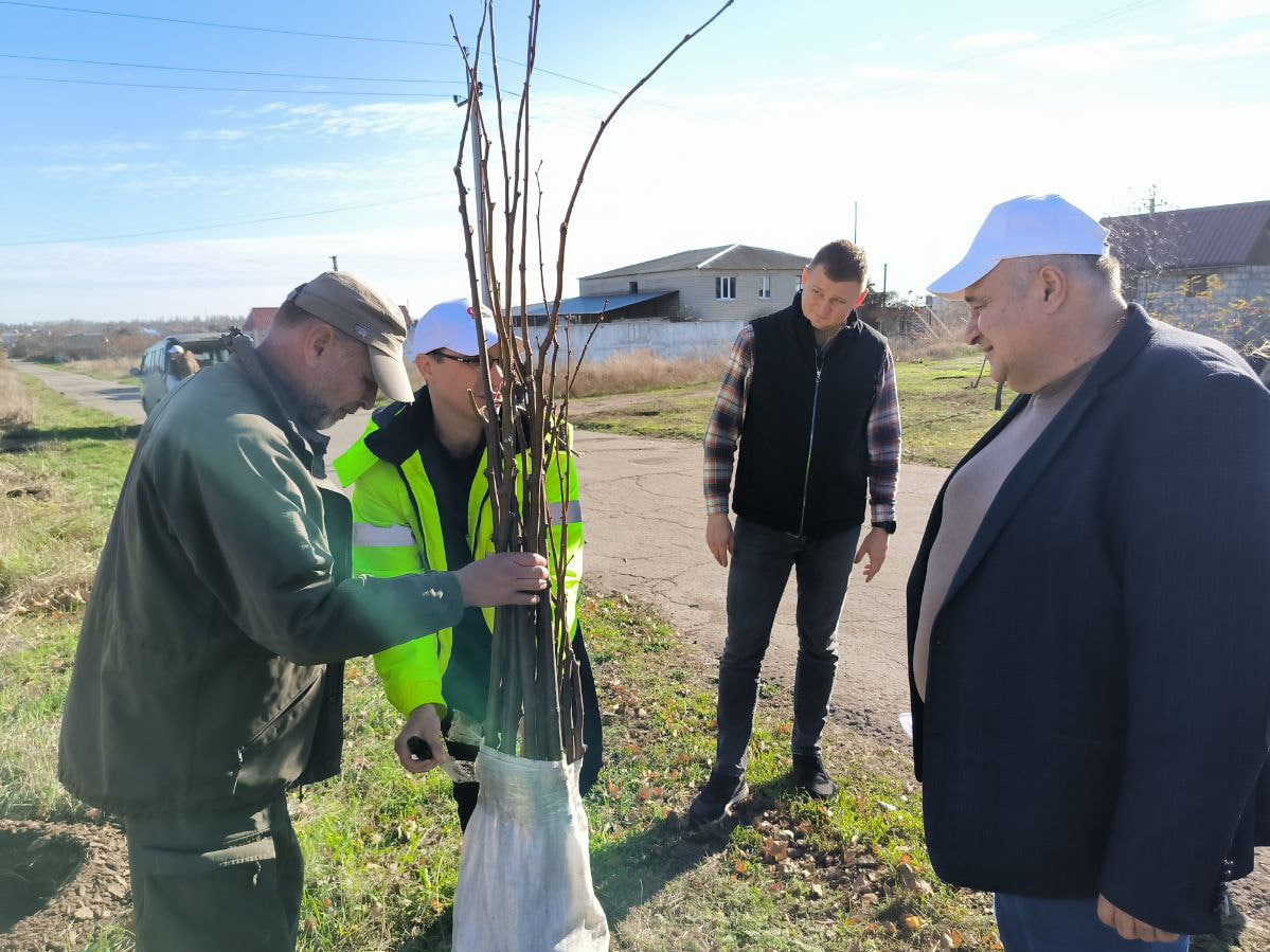 В Урзуфе будет липовая аллея.