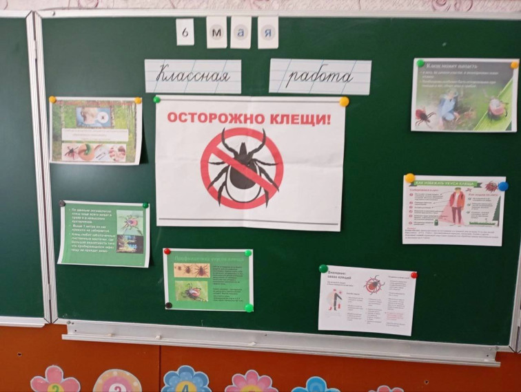 В ГБОУ «Камышеватская школа» прошла беседа: «Осторожно клещи!». В ГБОУ «Камышеватская школа» прошла беседа: «Осторожно клещи!».